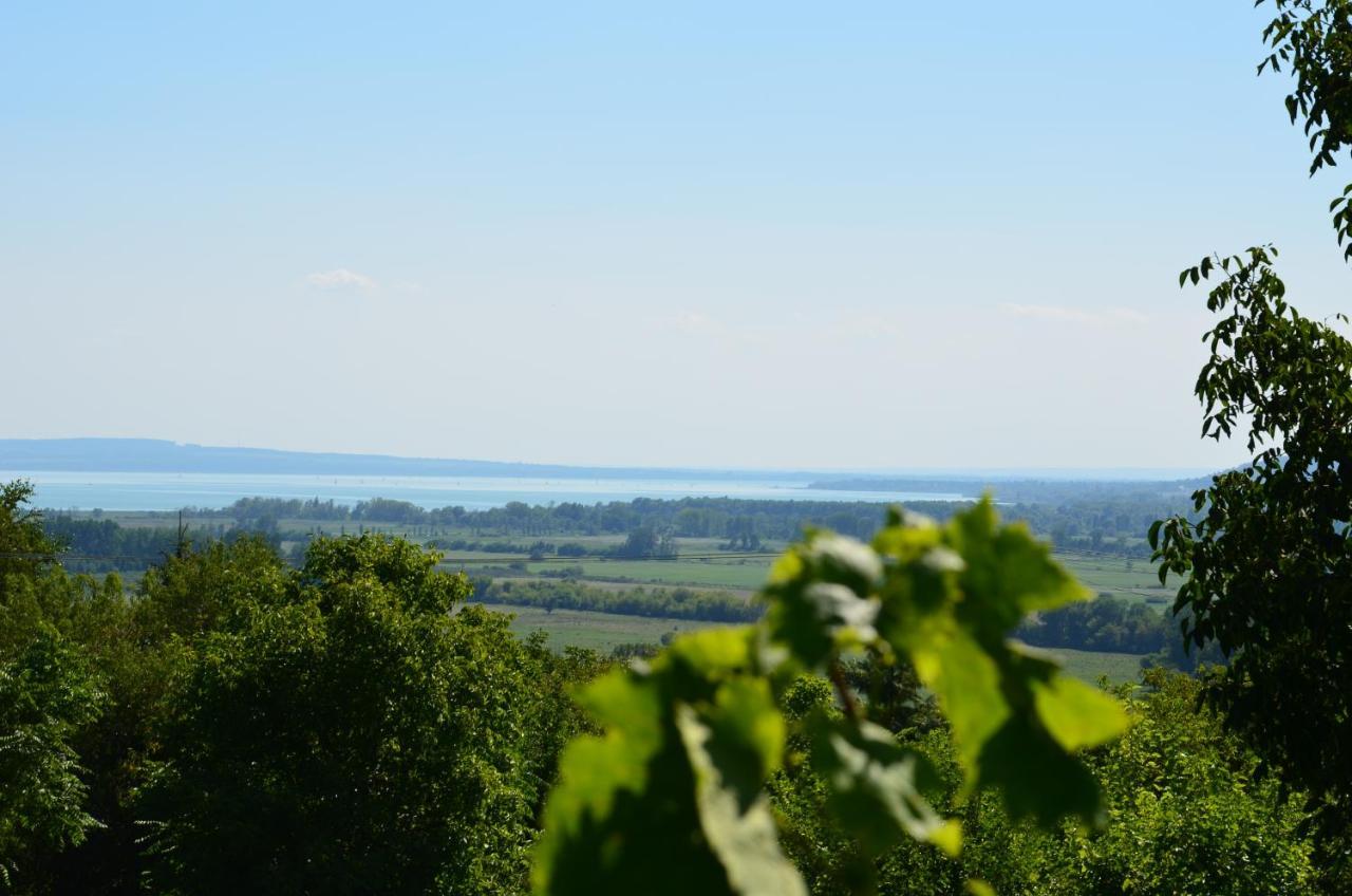 Grand Cru 3. Vendégház Hegymagas Kültér fotó