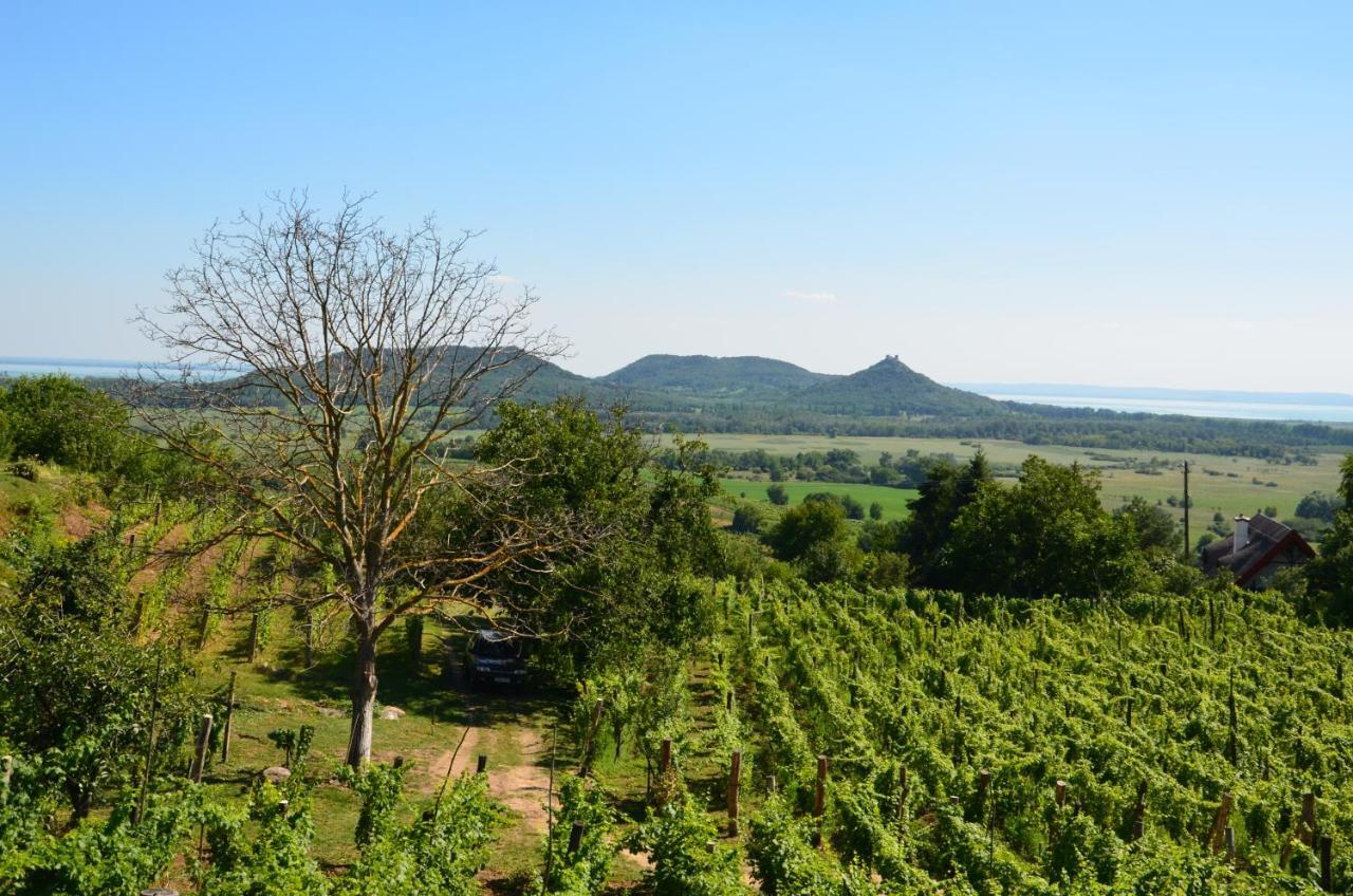 Grand Cru 3. Vendégház Hegymagas Kültér fotó