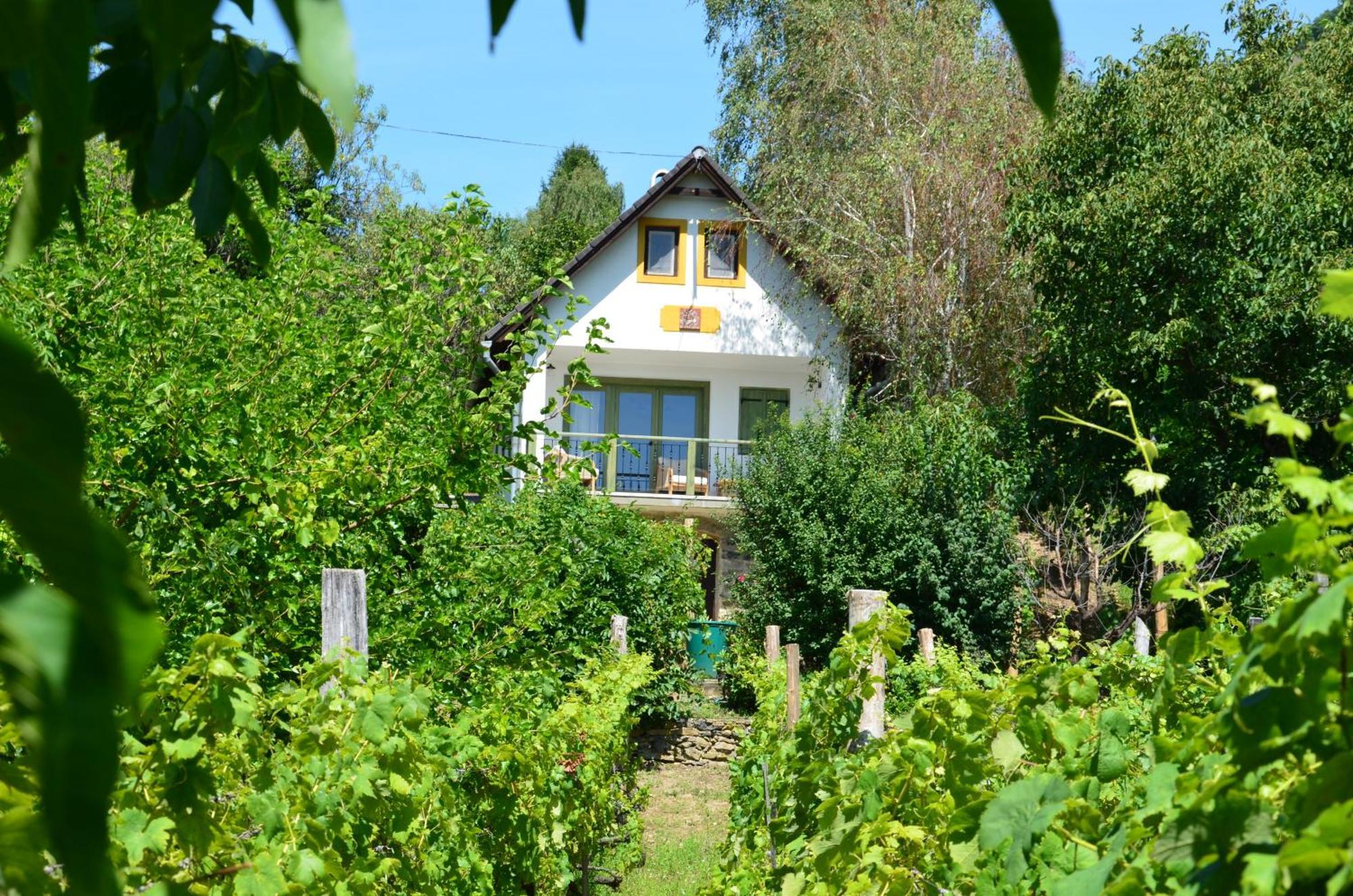 Grand Cru 3. Vendégház Hegymagas Kültér fotó